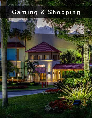 shopping